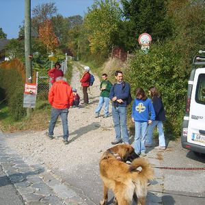 Herbstwanderung 