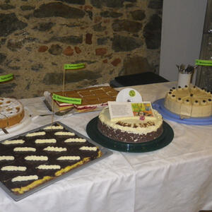 BibliothekarInnen Regionaltreffen