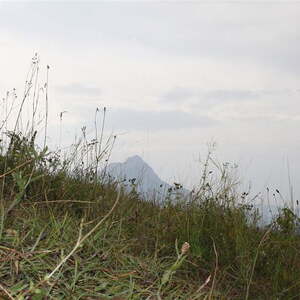Jungschar- und Ministrantenlager in Roßleiten