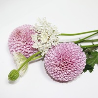 Krankensalbung / © Brida_staright/pixabay.com/Pixabay License Krankensalbung