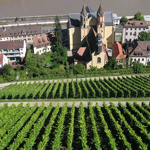 Pilgerweg in Würzburg