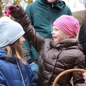 Auf den Spuren der Hl. Elisabeth