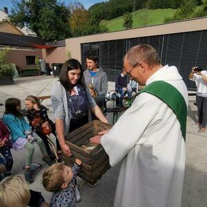 Hühner werden mit all ihren Artgenossen zuhause gesegnet.