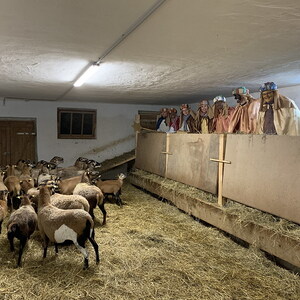 Sternsingeraktion 2020