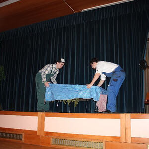 Almrausch am Froschberg