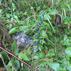 Bergmesse-Vorbereitung