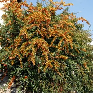 Kirchenchorausflug 2010