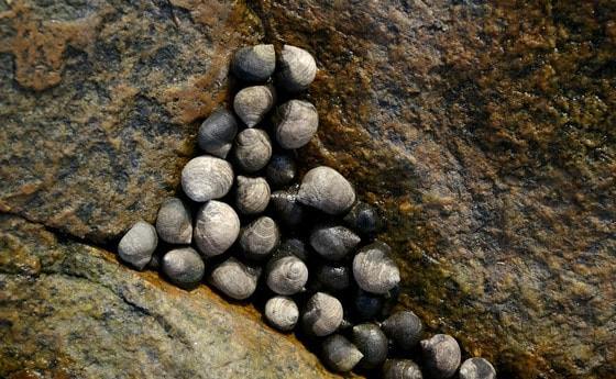 Von der Natur gegeben. © earl53/morguefile.com