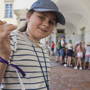 Minis in St. Florian