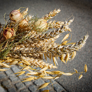 Erntedankfest St.Peter/Hart