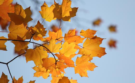 CULTrips in Lichtenberg