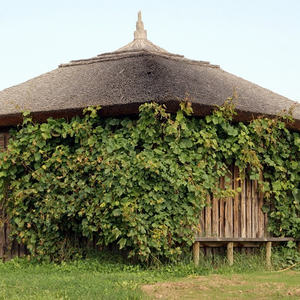 Kirchenchorausflug 2010