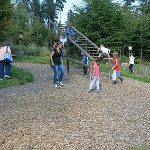 Naturerlebnisweg Pfarrwald Vöcklabruck