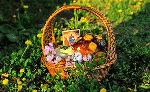 Easter basket on the grass with dandelion background