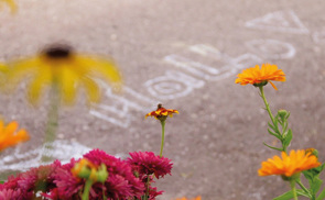 Frauenbildung Oberösterreich