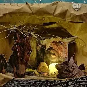 Der Adventkalender 2022