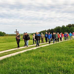 am Weg zum Stierlingerwald
