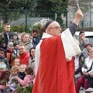 Segnung der Palmzweige