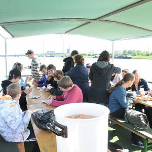 Firmprojekt Hochbeet