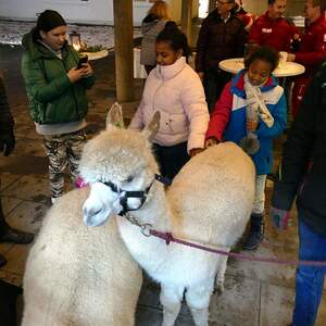 Pfarre Steyr-Resthof