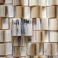 Öffentliche Bibliothek / © kerttu/pixabay.com/Pixabay License Öffentliche Bibliothek