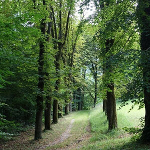 Fußwallfahrt 2017 in und um Bad Ischl