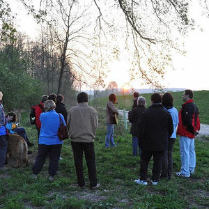 Emmausgang in den Ebelsberger-Traunauen