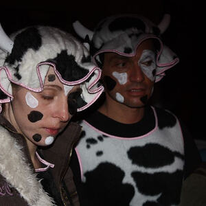 Almrausch am Froschberg