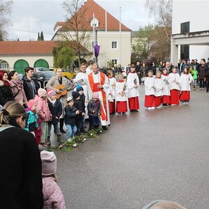 Palmsonntag 2024