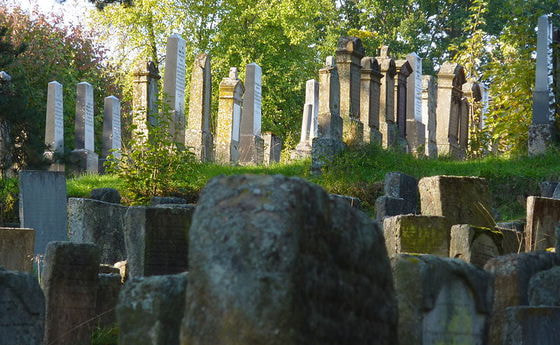 Jüdischer Friedhof in Georgensgmünd im Landkreis Roth (Bayern/Deutschland). © Reinhardhauke/wikimedia.org/CC BY-SA 3.0