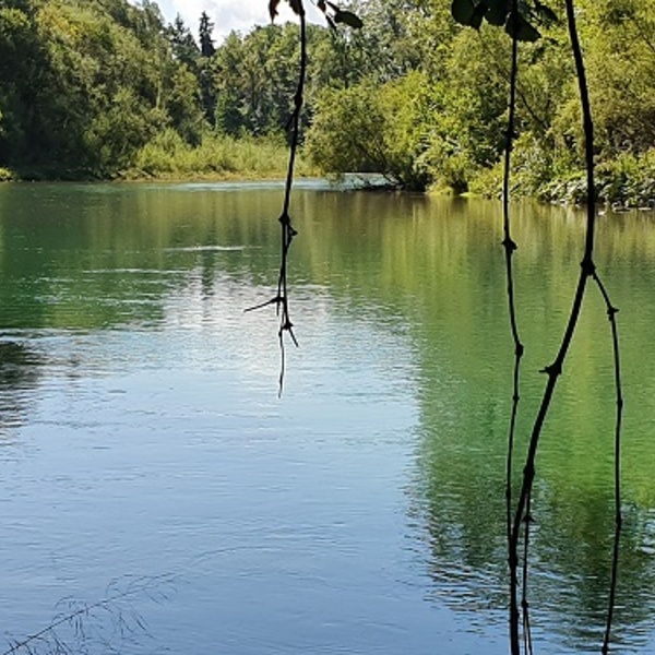 Blick auf den See