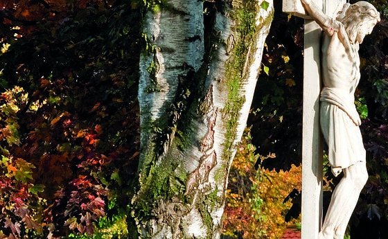 Praxistag Friedhof, Wolfsegg am Hausruck