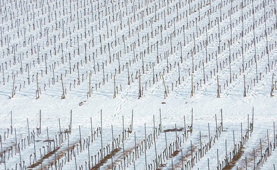 Die Arbeit unterbrechen