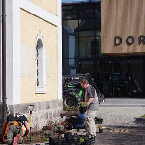 Bepflanzug um die Kirche