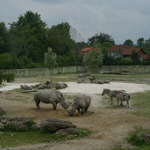 Kinderausflug Schmiding