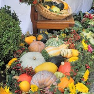 Bezirkserntedankfest