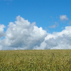 Betriebsausflug 2020