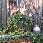 Generalversammlung des Vereins „Freunde des Bibelwerkes“ ... im Grünen