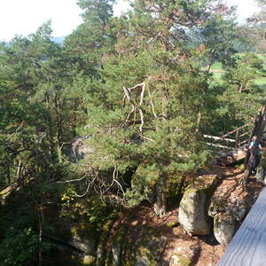 Pfarre Neumarkt im Mühlkreis