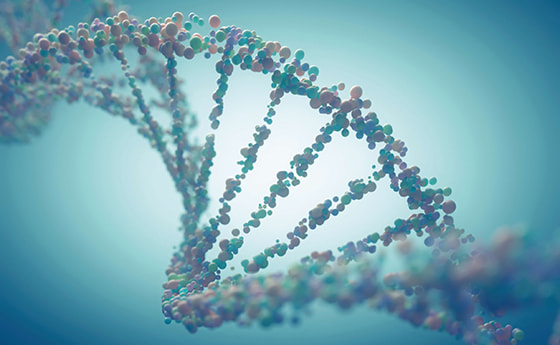 Die Wirtschaft stellt die Möglichkeiten durch Gentechnik in leuchtenden Farben dar. 45 Männer und Frauen informierten sich bei der Podiumsdiskussion 'Die Verheißungen der Gentechnik' des Katholischen Bildungswerkes, KBW-Treffpunkt Bildung über Chance