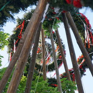 Maibaum Pfarre Maria Puchheim