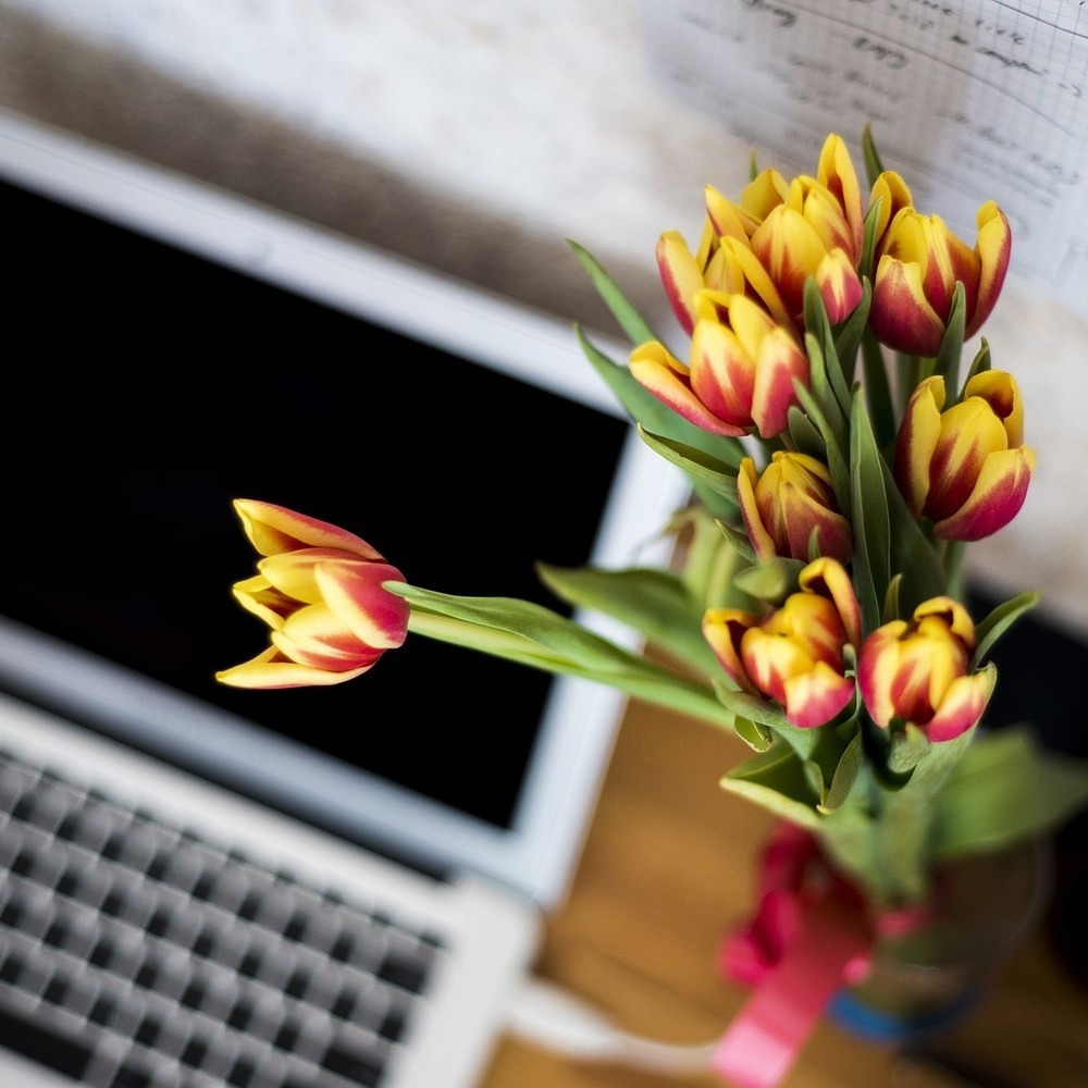 Blumen im Büro