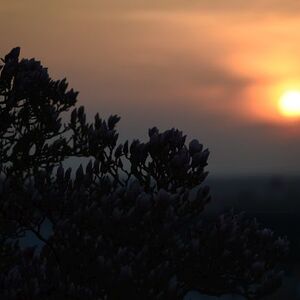 Eröffnung Bruckner Museum 2014