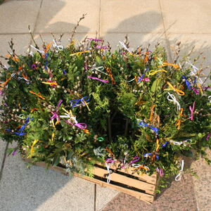 Eine-Welt-Kreis bindet 600 Palmbuschen