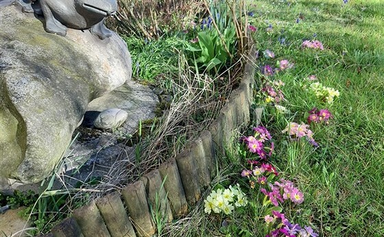 Pfarrgarten / © Pfarre Linz-St.Konrad Pfarrgarten