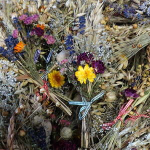  Pfarre Neumarkt im Mühlkreis