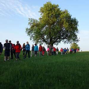 meditative Pilgerwanderung 28.4.18