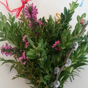 Pfarre Hörsching hl. Jakob