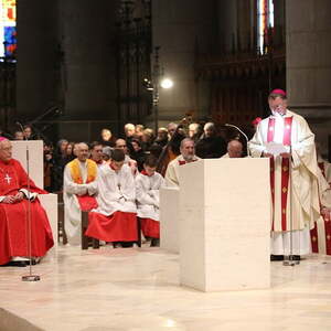 Festmesse zum 85. Geburtstag von Bischof em. Maximilian Aichern im Linzer Mariendom | 26.12.2017