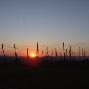 Wallfahrt Maria Bründl